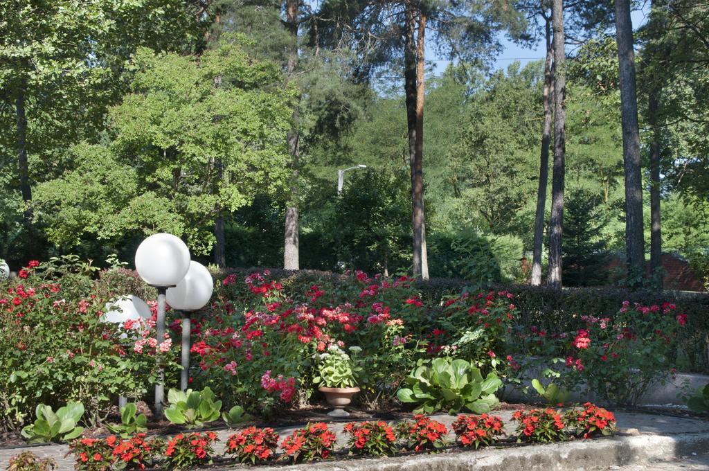 مبيت وإفطار Cesate Bed&Garden المظهر الخارجي الصورة
